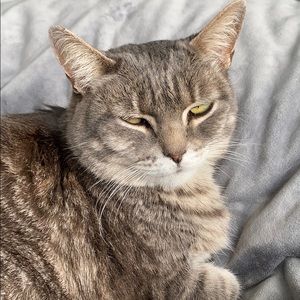 Meet your Posher, Carol